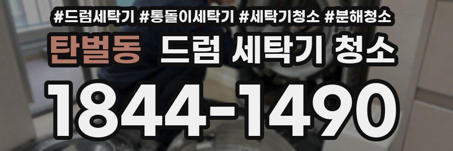 탄벌동 드럼 세탁기 청소