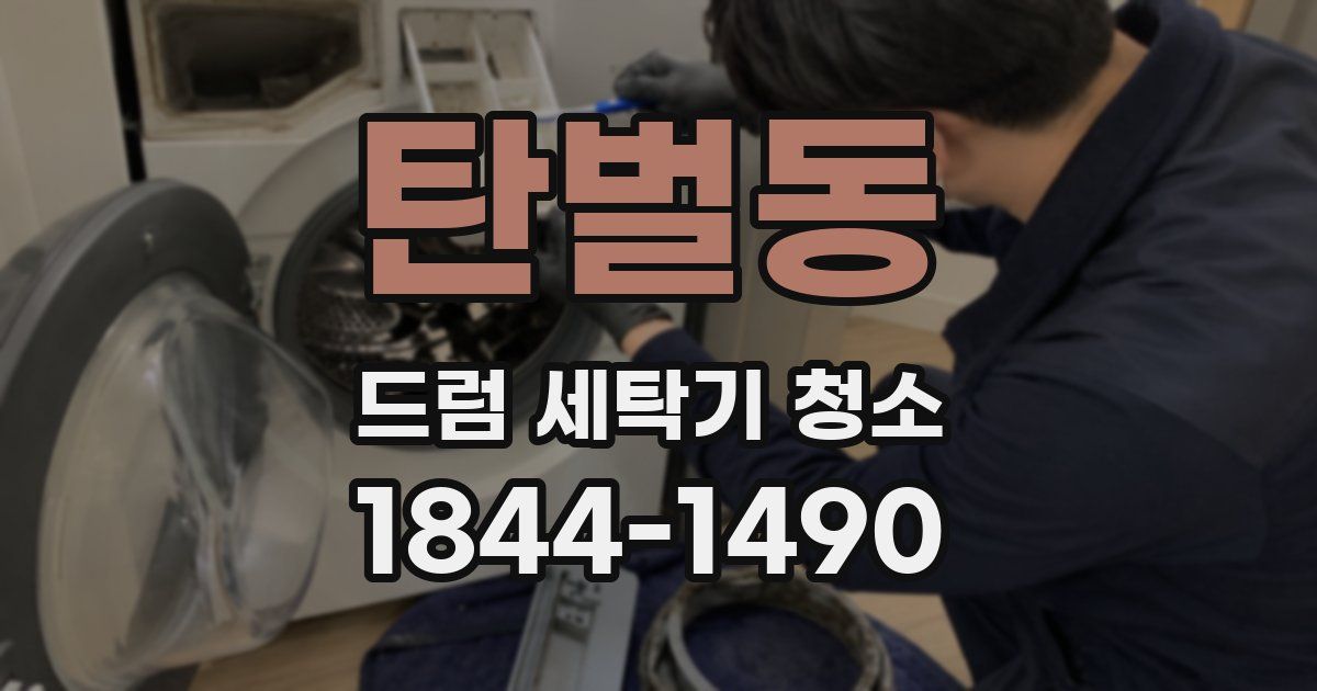 탄벌동 드럼 세탁기 청소