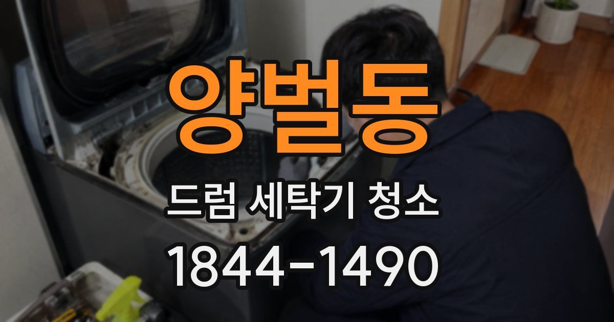 양벌동 드럼 세탁기 청소