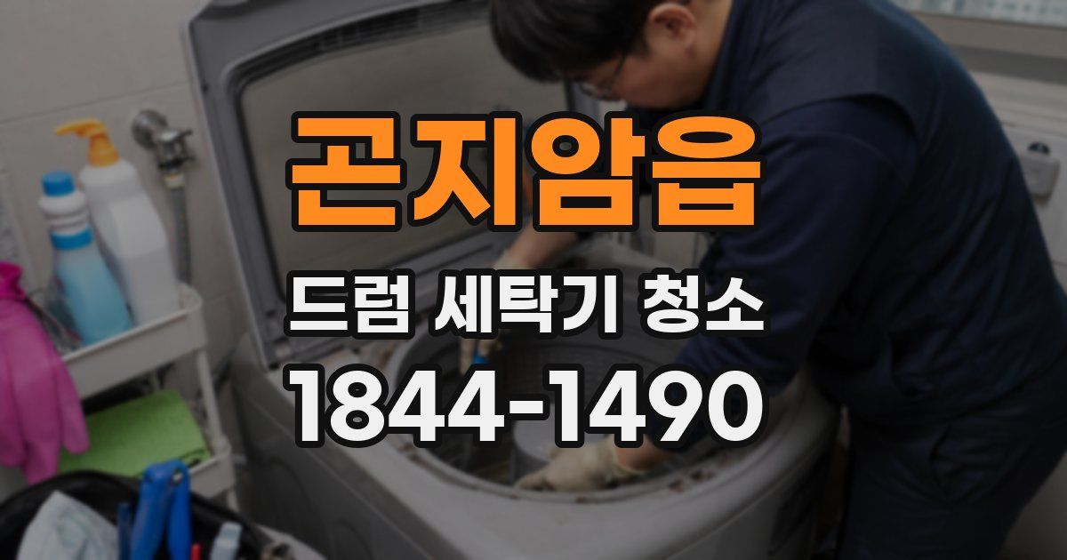 곤지암읍 드럼 세탁기 청소