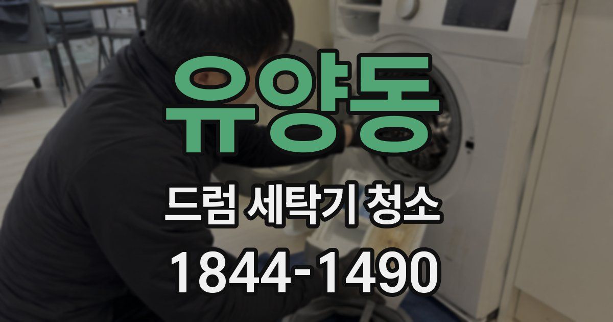 유양동 드럼 세탁기 청소