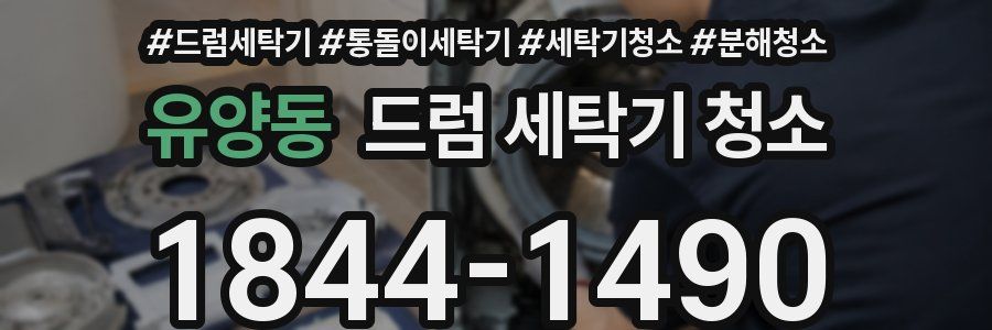 유양동 드럼 세탁기 청소