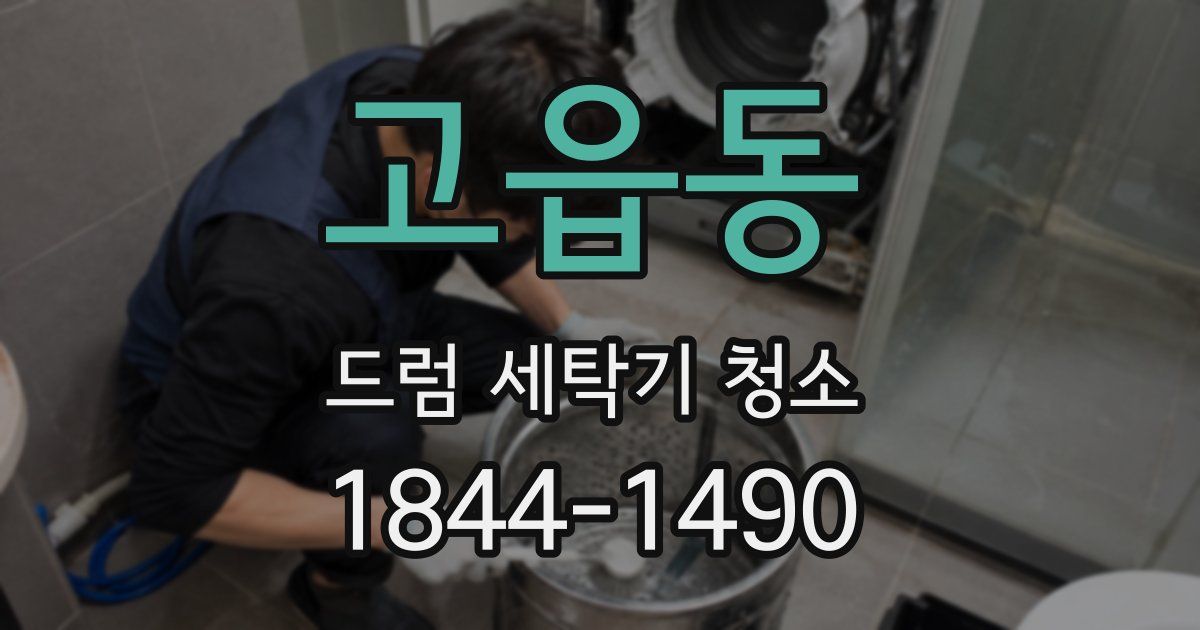 고읍동 드럼 세탁기 청소