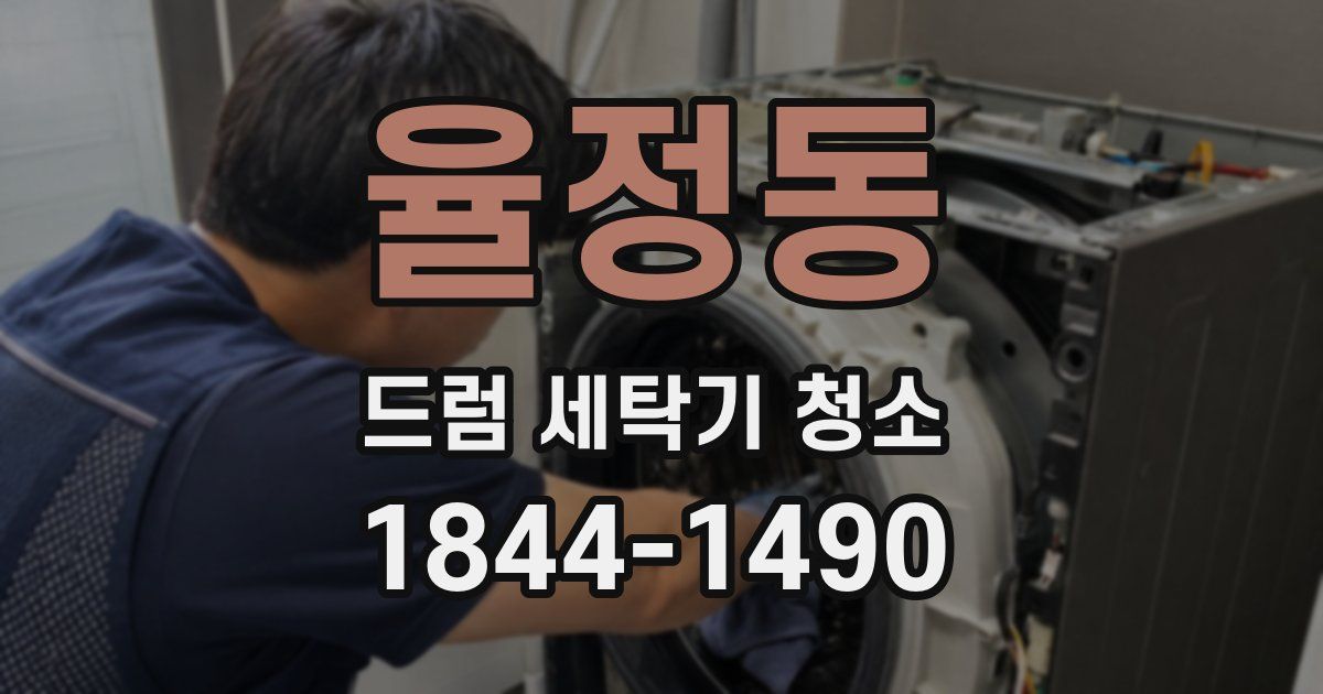 율정동 드럼 세탁기 청소