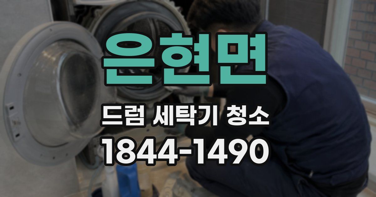 은현면 드럼 세탁기 청소
