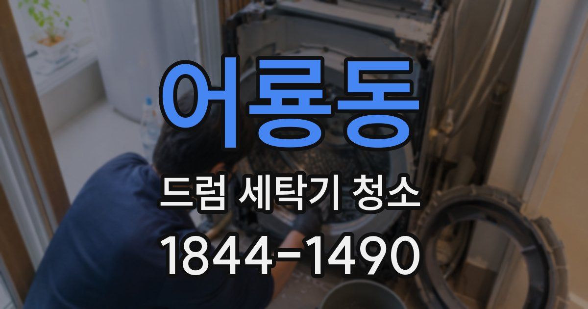 어룡동 드럼 세탁기 청소