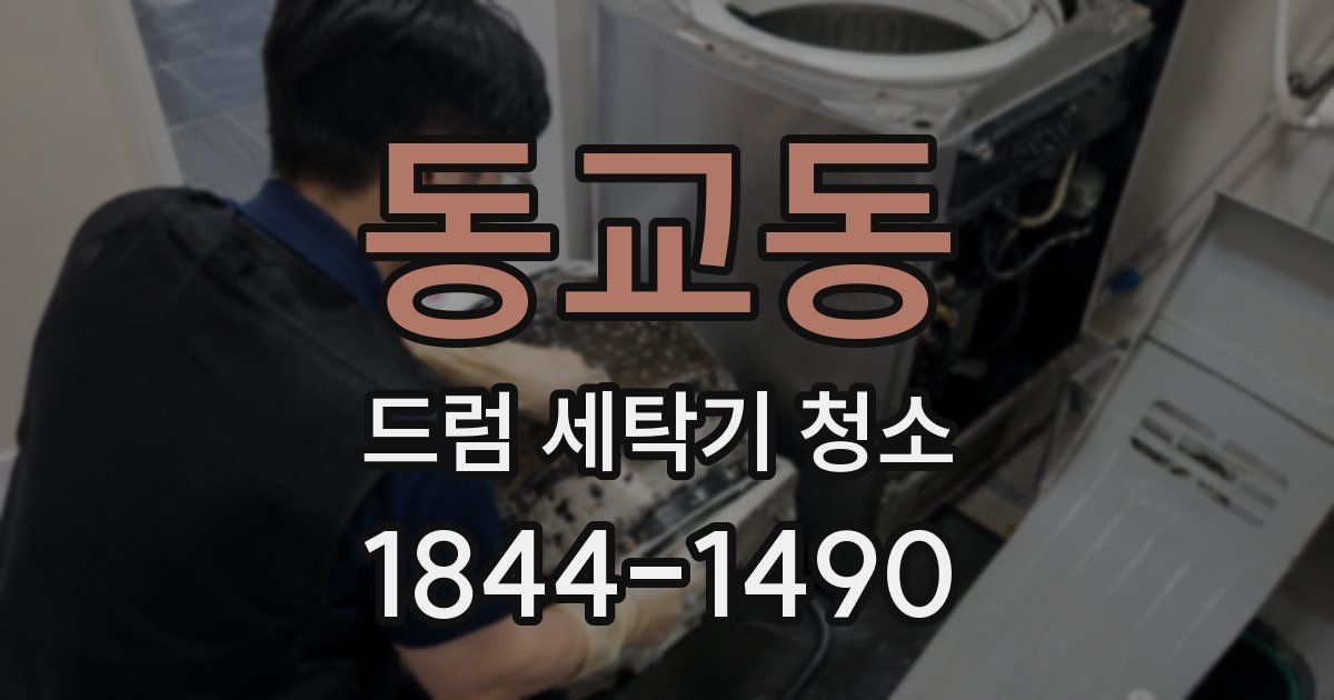 동교동 드럼 세탁기 청소