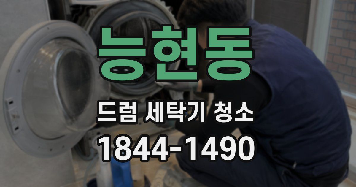 능현동 드럼 세탁기 청소
