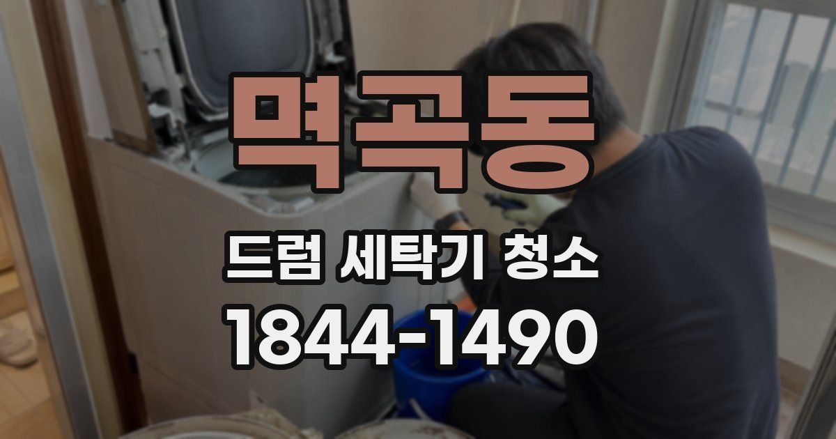 멱곡동 드럼 세탁기 청소