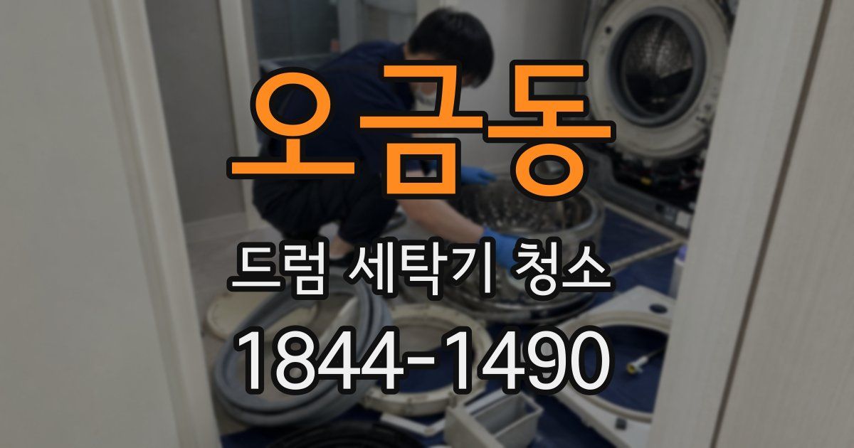 오금동 드럼 세탁기 청소