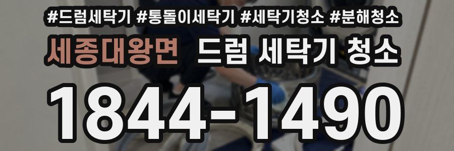 세종대왕면 드럼 세탁기 청소