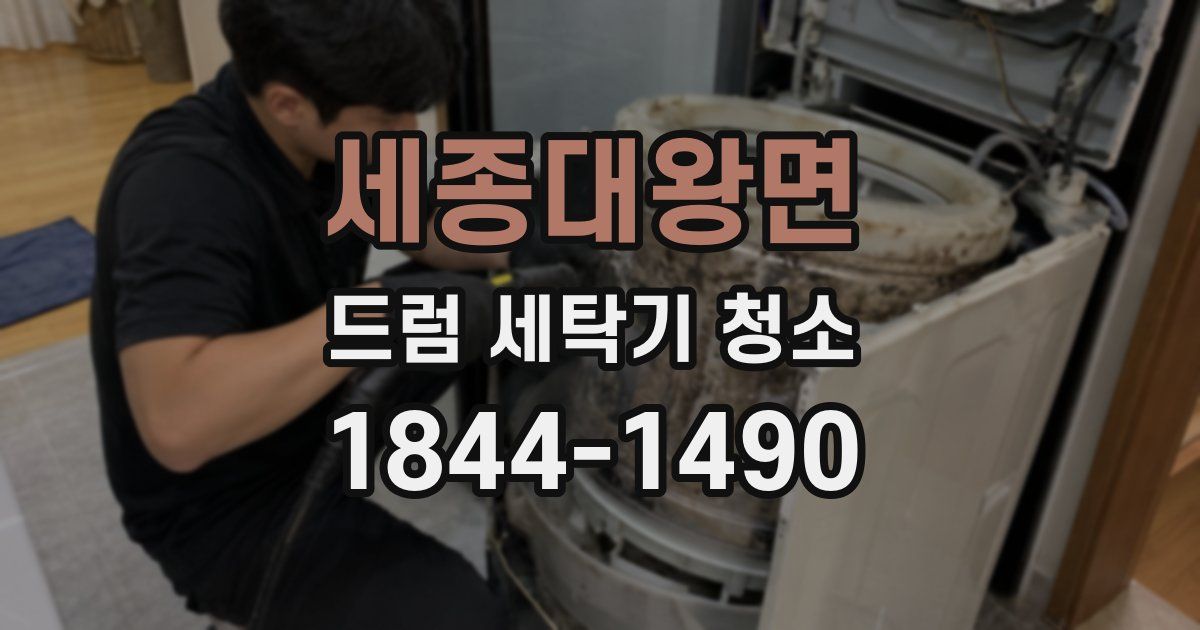 세종대왕면 드럼 세탁기 청소