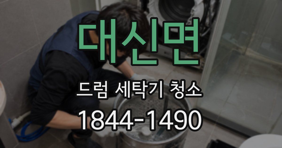 대신면 드럼 세탁기 청소