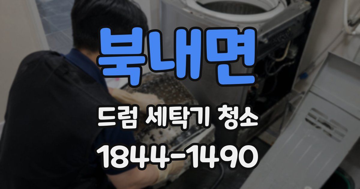 북내면 드럼 세탁기 청소