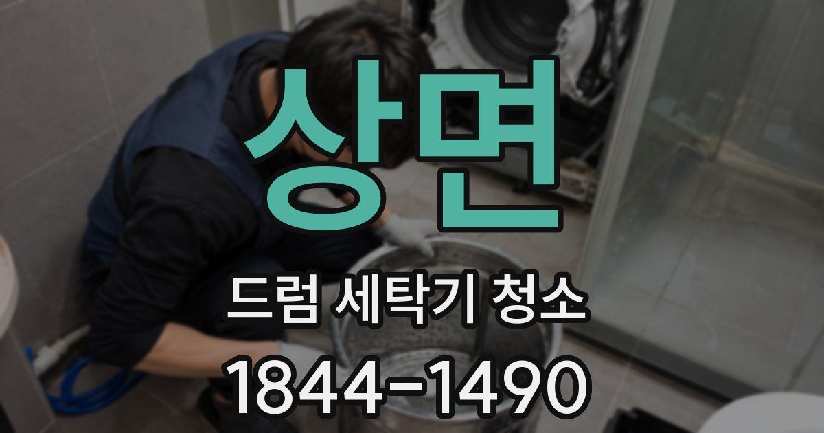 상면 드럼 세탁기 청소