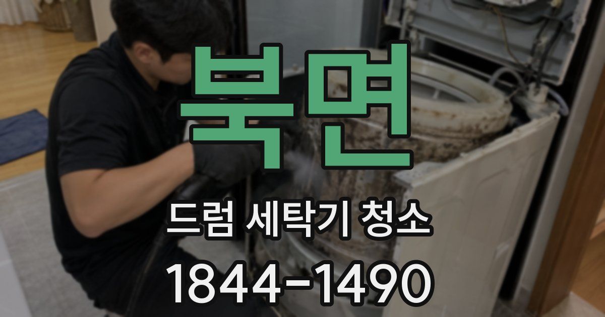 북면 드럼 세탁기 청소