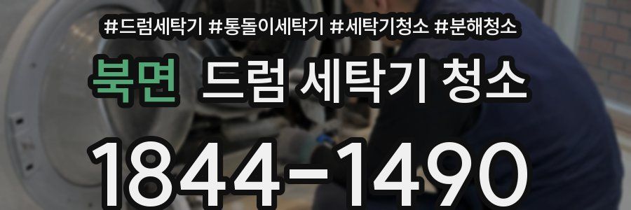 북면 드럼 세탁기 청소