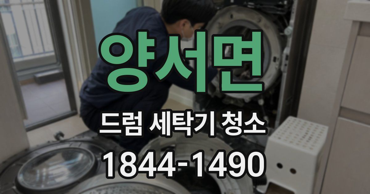 양서면 드럼 세탁기 청소