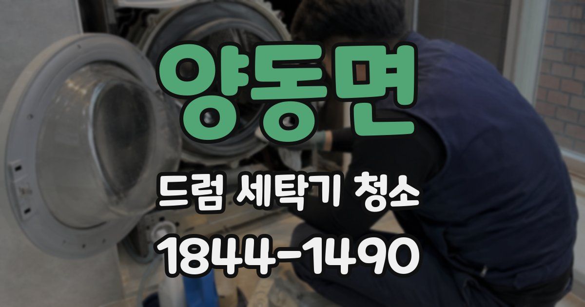 양동면 드럼 세탁기 청소