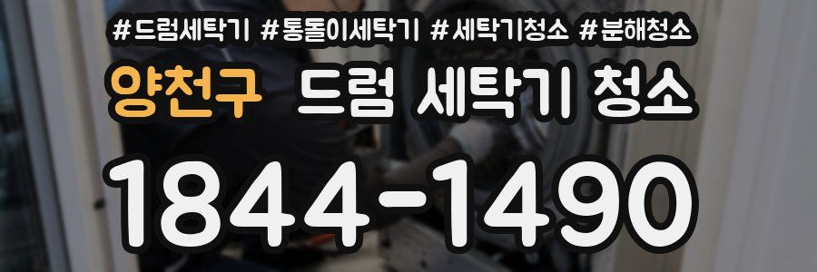 양천구 드럼 세탁기 청소