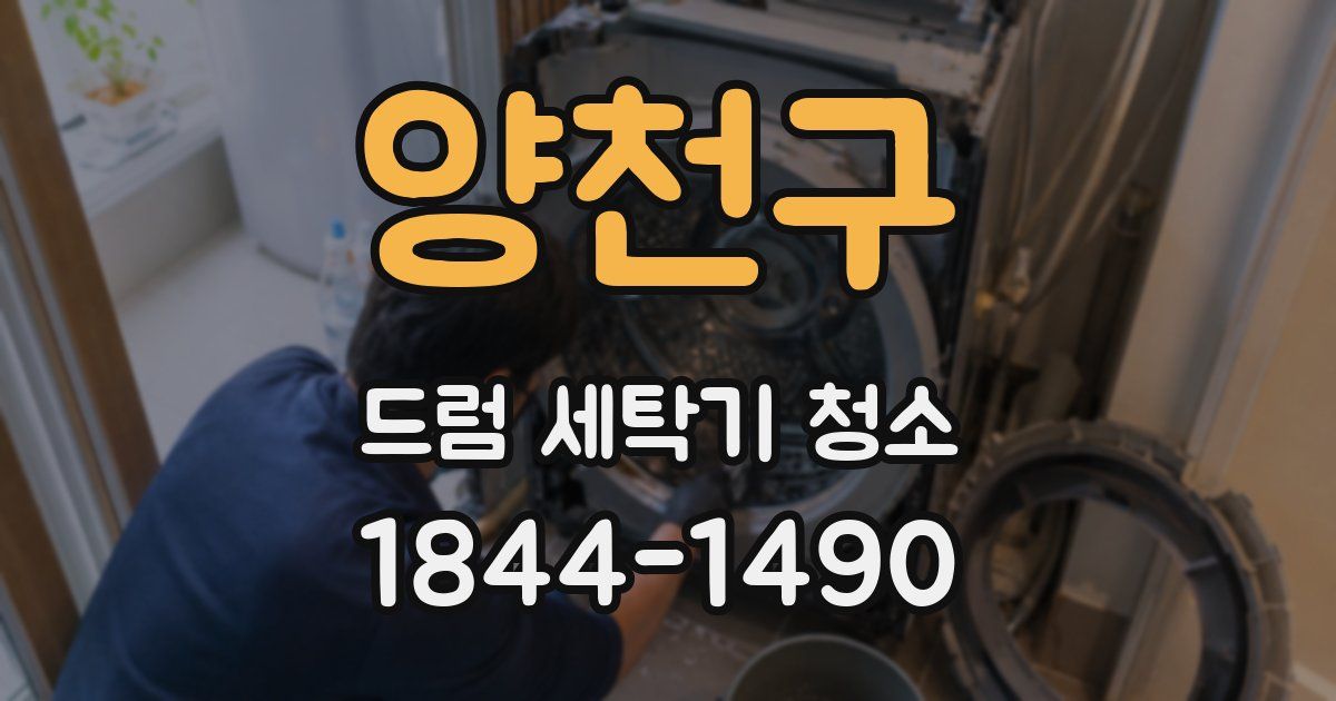양천구 드럼 세탁기 청소