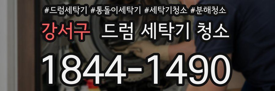 강서구 드럼 세탁기 청소
