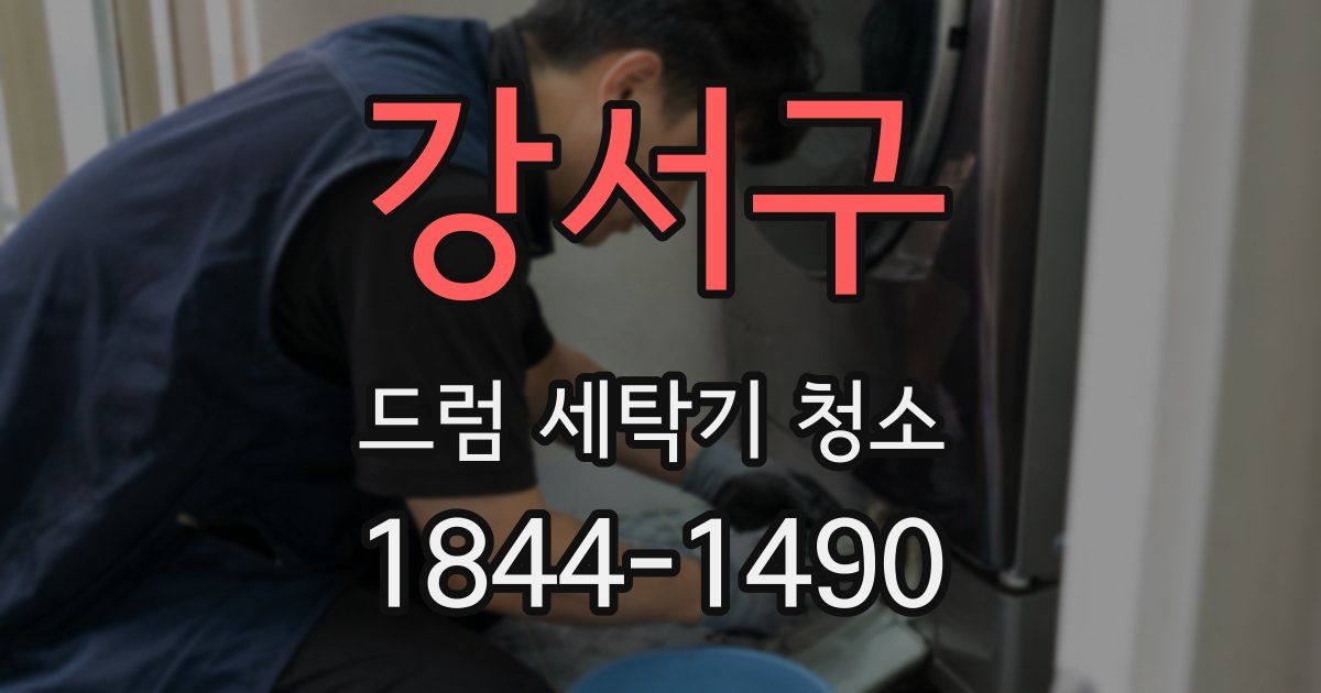 강서구 드럼 세탁기 청소