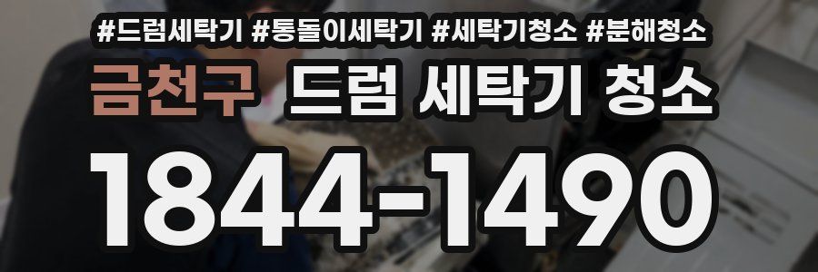 금천구 드럼 세탁기 청소