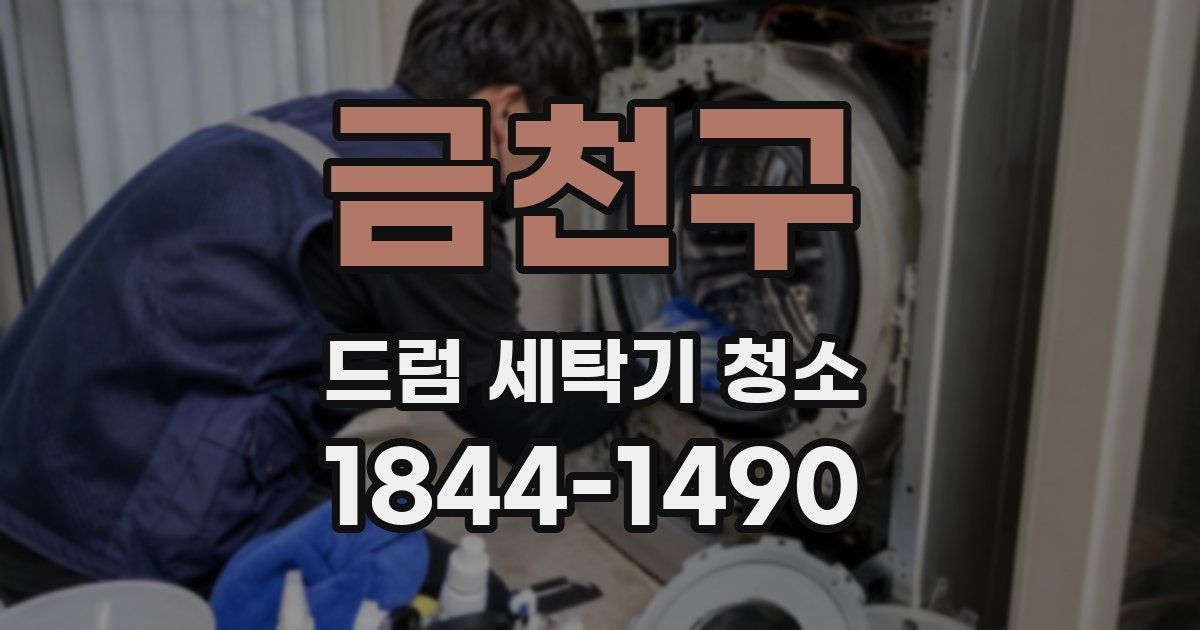 금천구 드럼 세탁기 청소