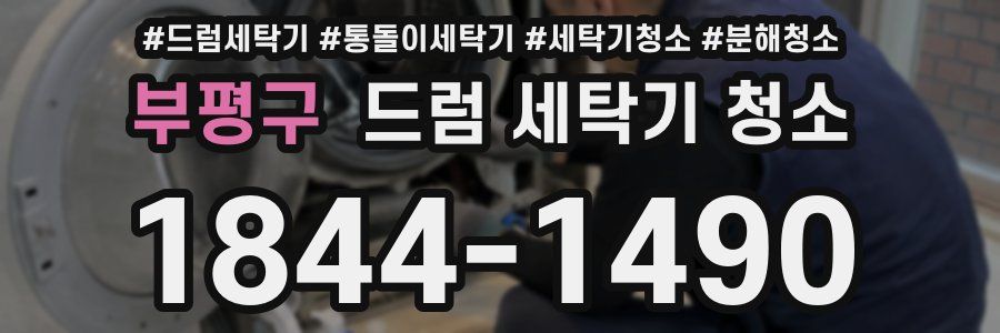 부평구 드럼 세탁기 청소