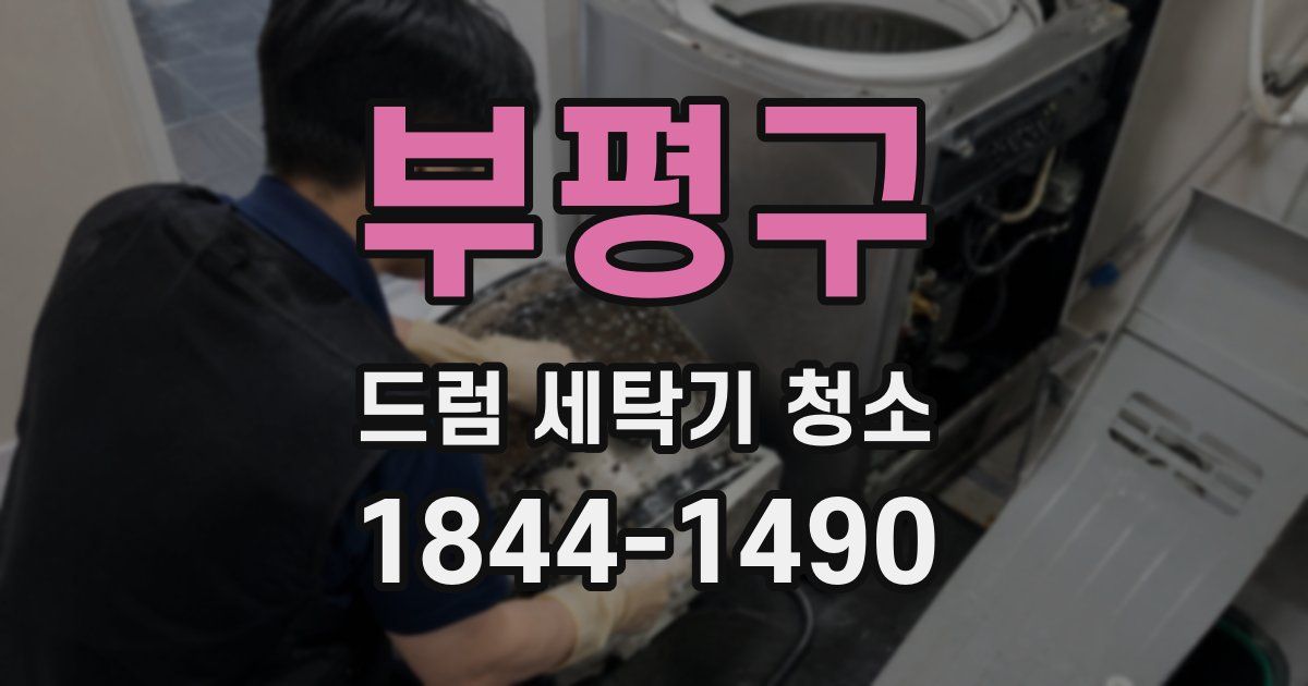 부평구 드럼 세탁기 청소
