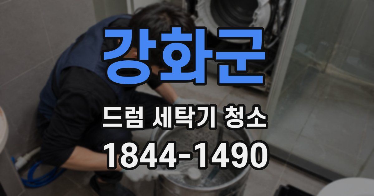 강화군 드럼 세탁기 청소