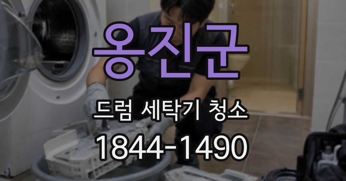 옹진군 드럼 세탁기 청소