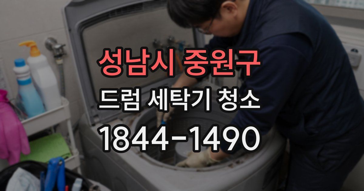 성남시 중원구 드럼 세탁기 청소
