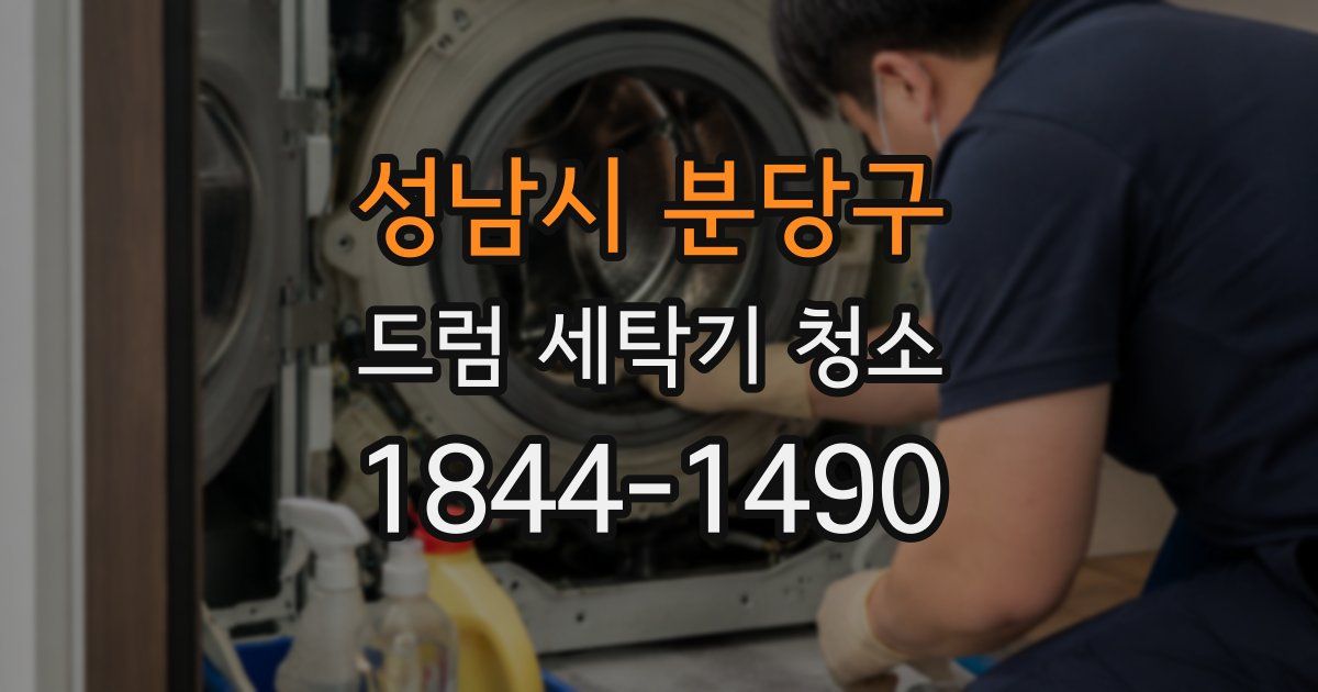 성남시 분당구 드럼 세탁기 청소