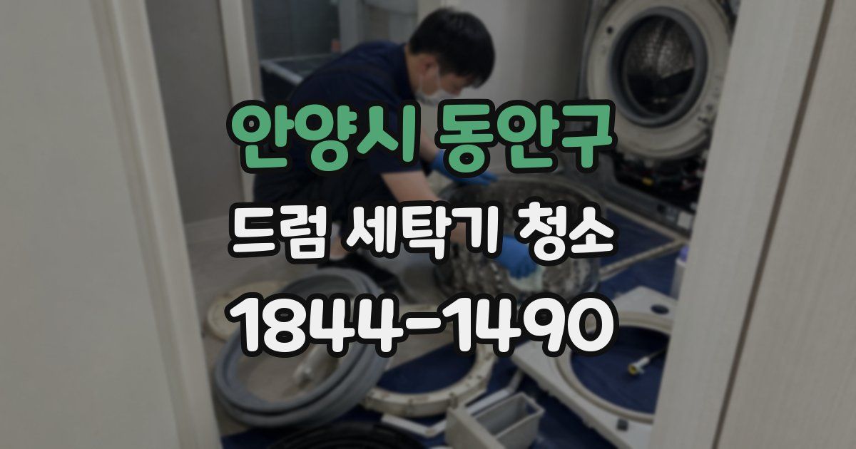 안양시 동안구 드럼 세탁기 청소