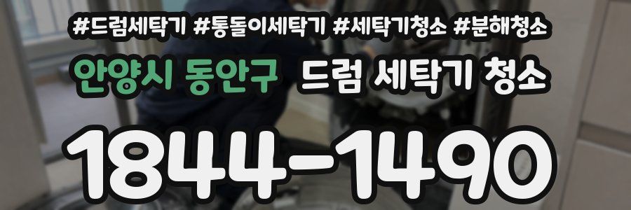 안양시 동안구 드럼 세탁기 청소