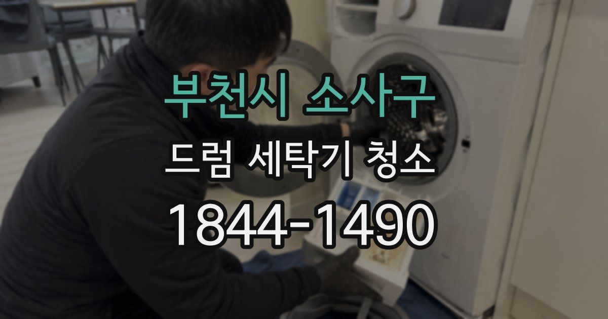 부천시 소사구 드럼 세탁기 청소
