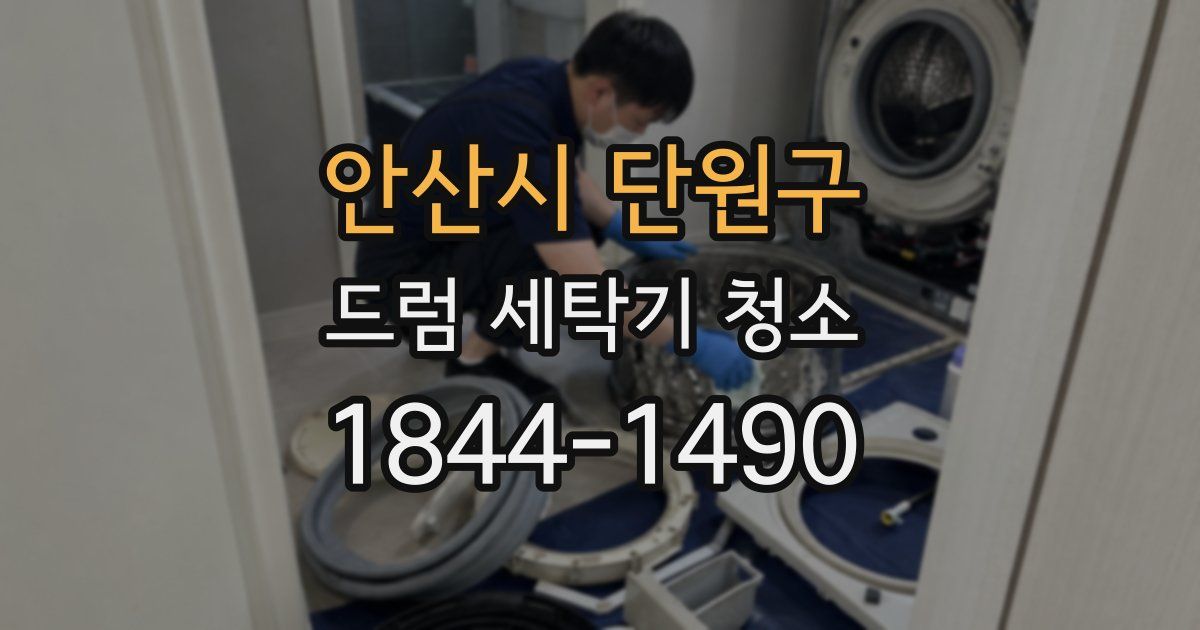 안산시 단원구 드럼 세탁기 청소