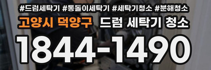 고양시 덕양구 드럼 세탁기 청소