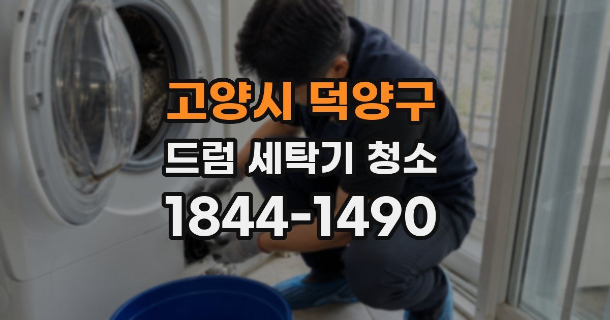 고양시 덕양구 드럼 세탁기 청소