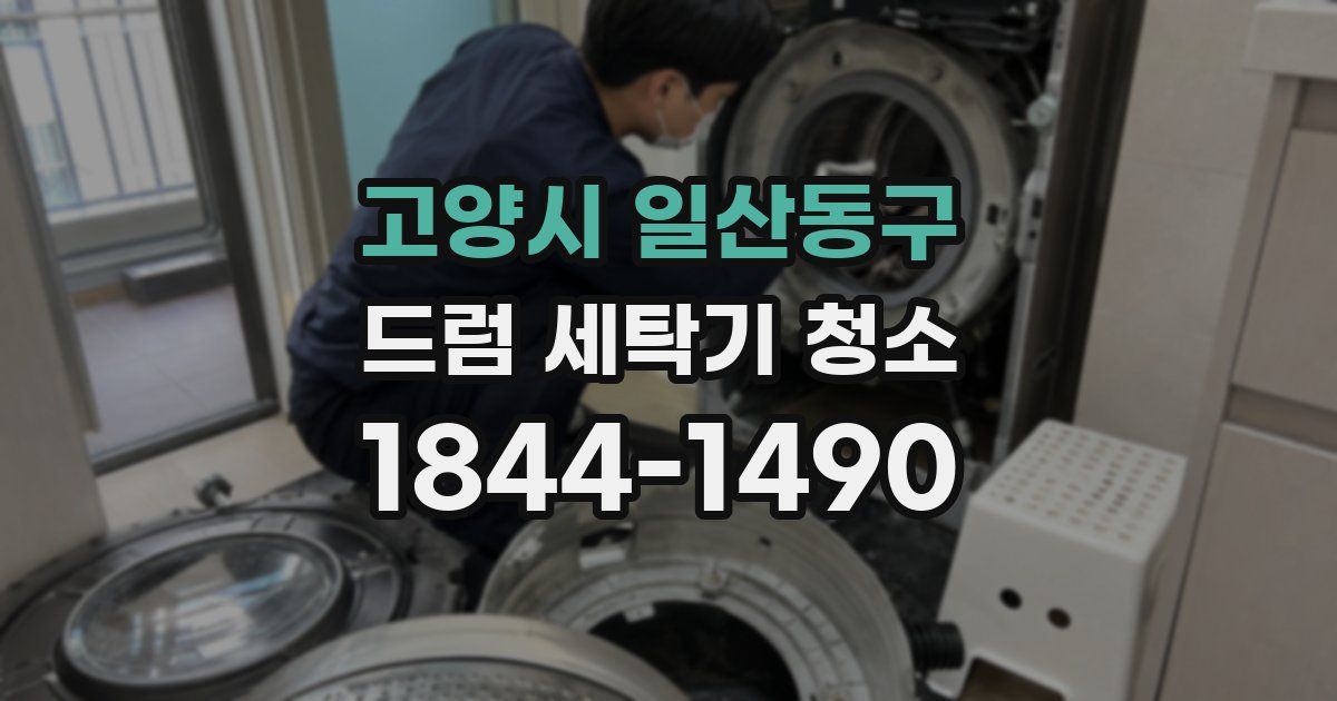 고양시 일산동구 드럼 세탁기 청소