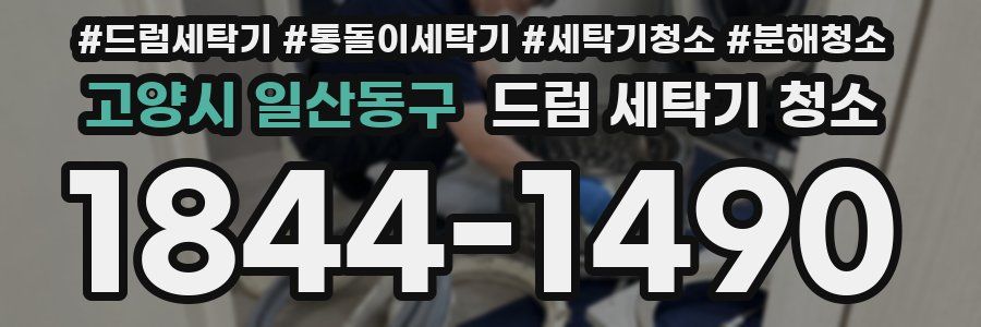 고양시 일산동구 드럼 세탁기 청소