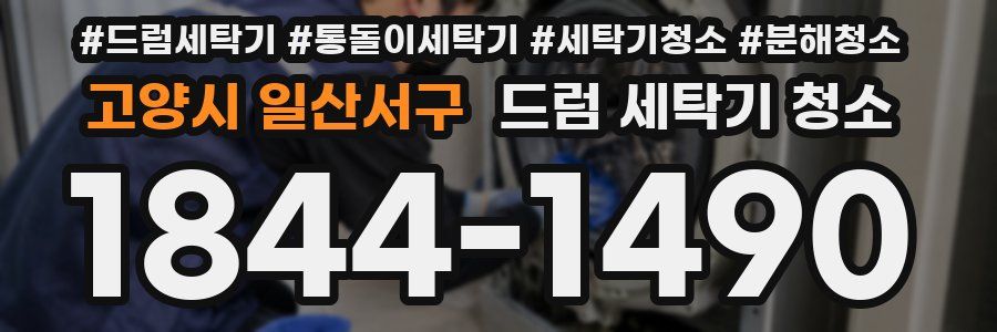 고양시 일산서구 드럼 세탁기 청소