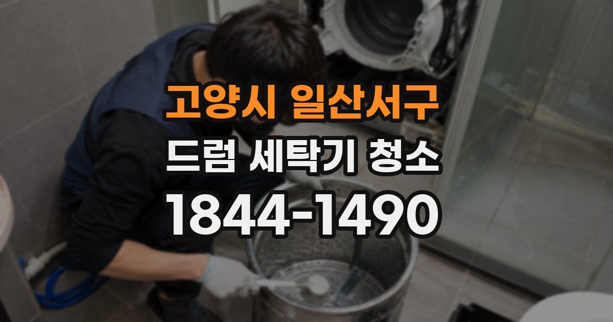 고양시 일산서구 드럼 세탁기 청소