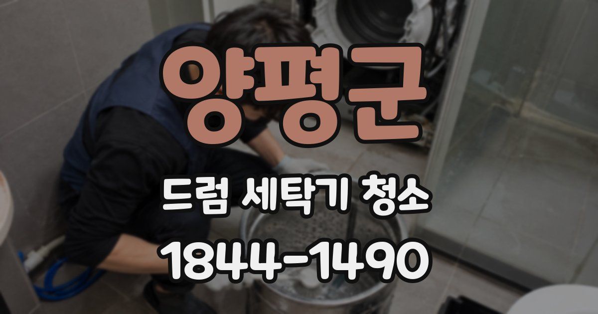 양평군 드럼 세탁기 청소