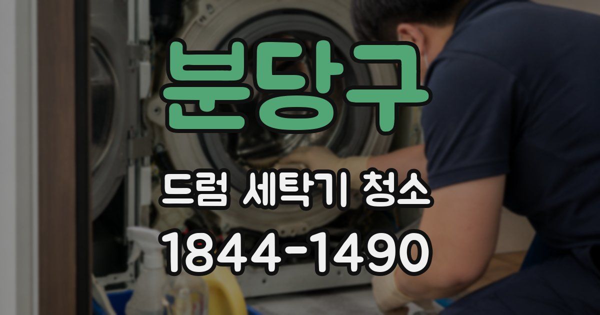 분당구 드럼 세탁기 청소