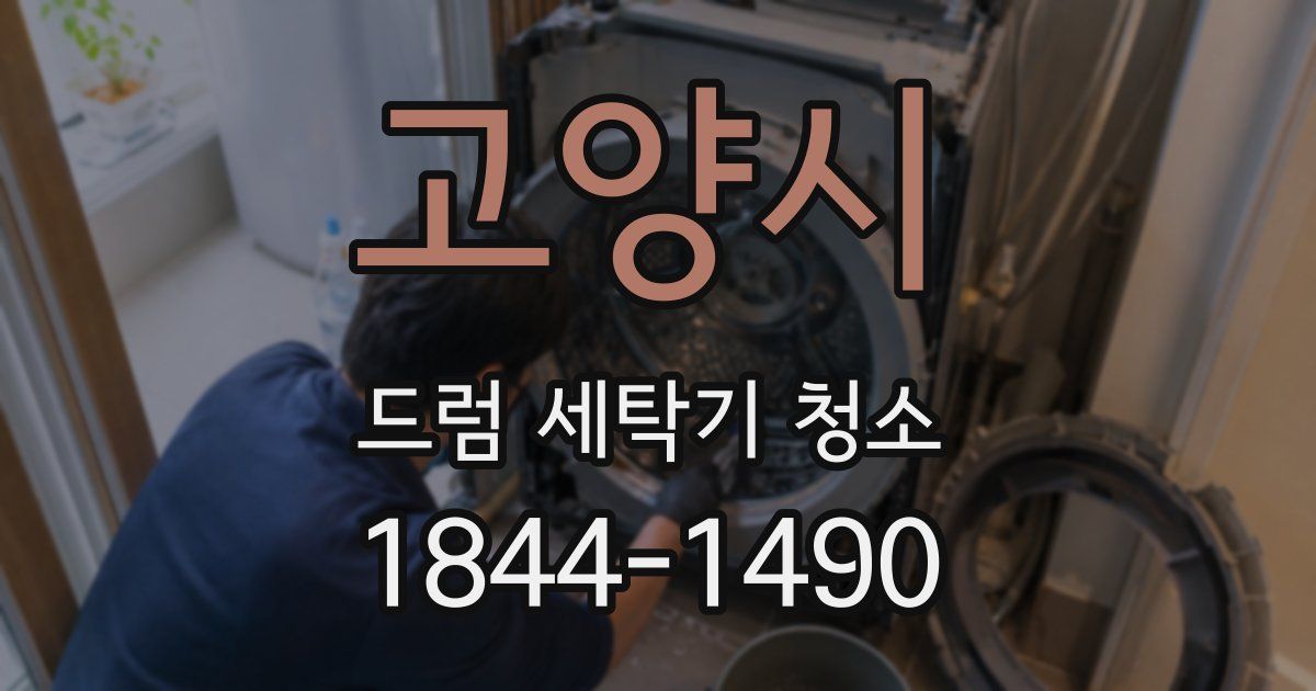 고양시 드럼 세탁기 청소