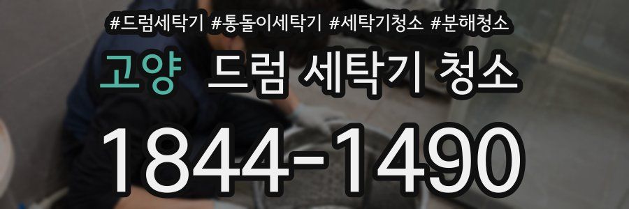 고양 드럼 세탁기 청소