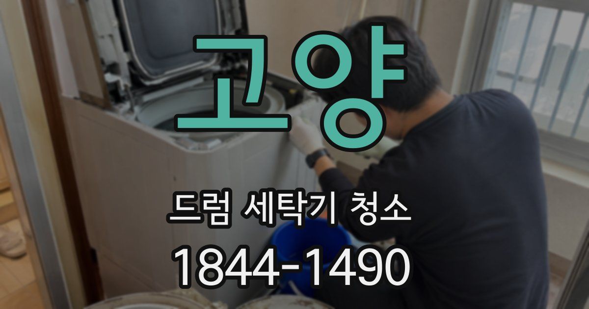 고양 드럼 세탁기 청소